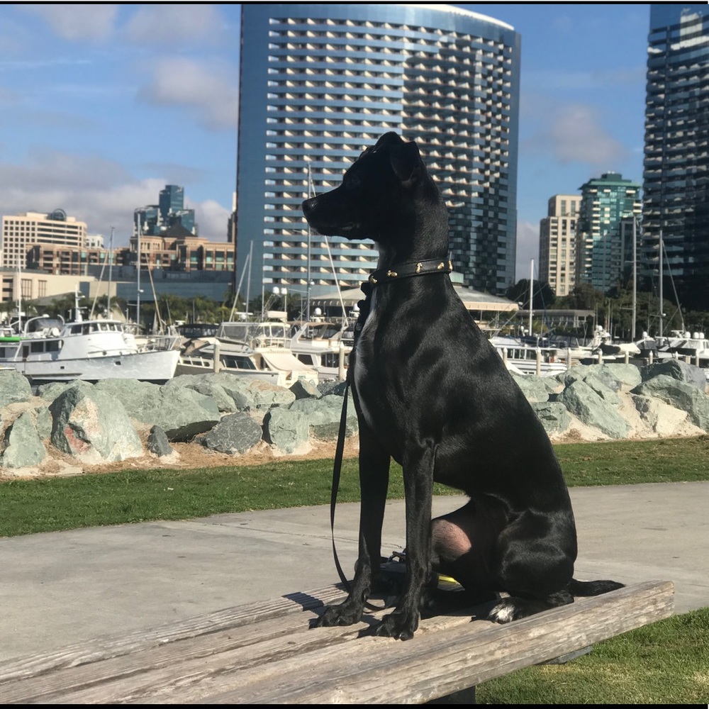 Meet your Posher, Megan